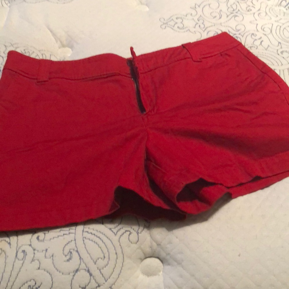 New York & Co Shorts